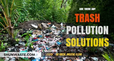 Trash Pollution: Solutions to a Global Crisis