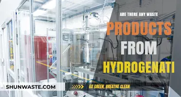 Hydrogenation Waste Products: Uncovering the Environmental Impact and Byproducts