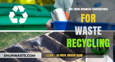 Exploring Business Cooperatives in Waste Recycling: Opportunities and Benefits