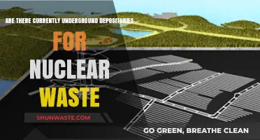 Exploring the Existence of Underground Nuclear Waste Storage Facilities Today