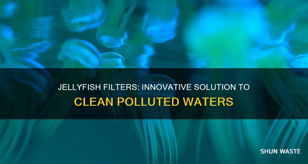 are there different types of jellyfish filters to clean polluted