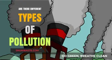 Pollution Types: Understanding the Diversity of Environmental Threats