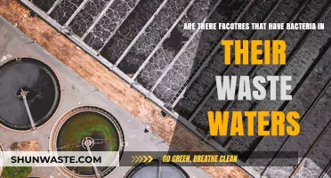 Bacteria in Wastewater: Exploring Factors and Their Impact on Treatment