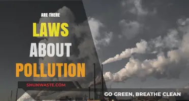 Pollution Laws: Do They Exist?