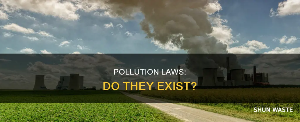 are there laws about pollution