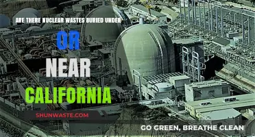 California's Nuclear Waste: Buried Secrets Near or Under the State?
