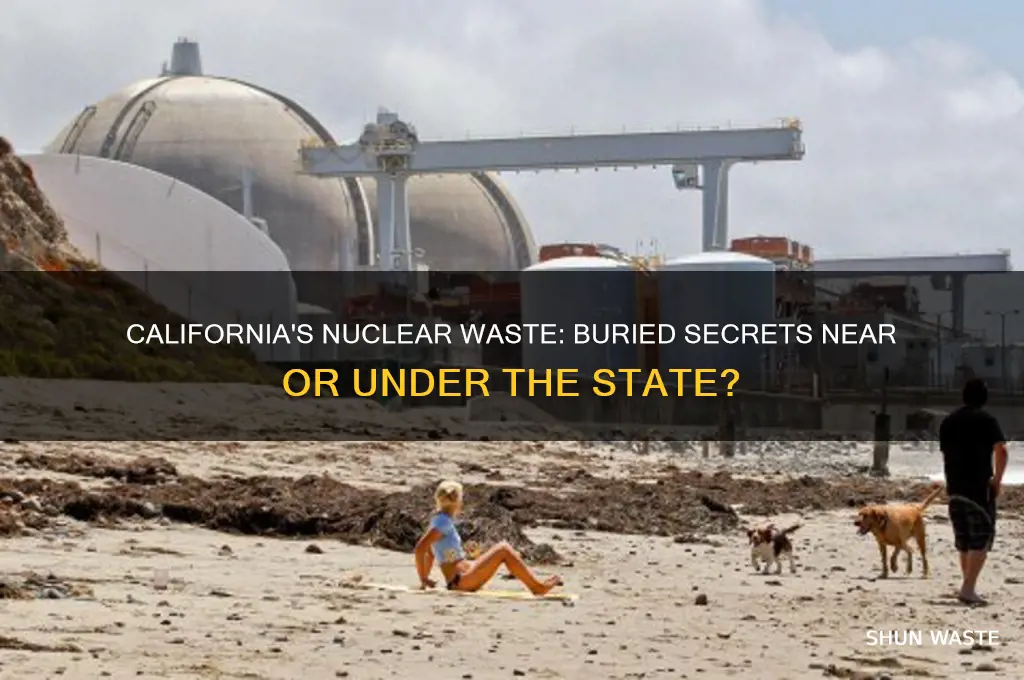 are there nuclear wastes buried under or near california