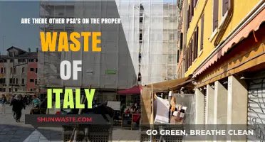 Exploring Italy's PSA Campaigns on Proper Waste Disposal Practices