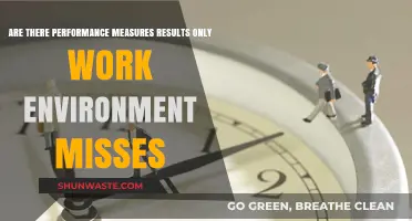 Performance Measures: What Results-Only Work Environments Overlook?
