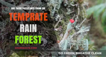 Temperate Rainforests: Pollutants and Their Sources