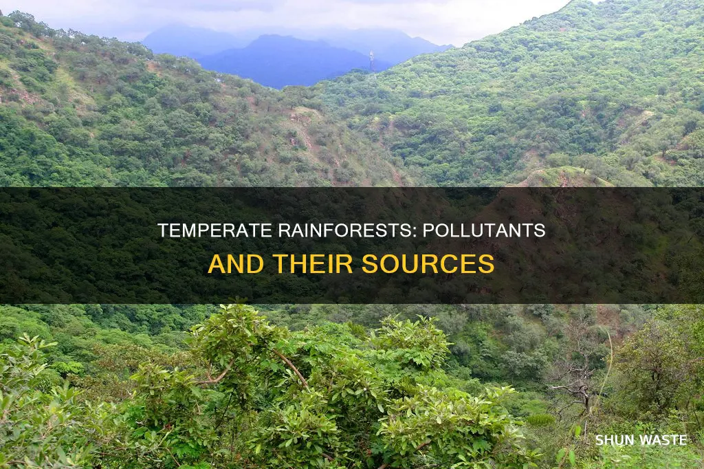 are there pollutants from the temprate rain forest