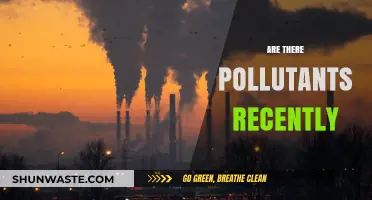 Recent Pollutants: A Growing Concern for Our Planet