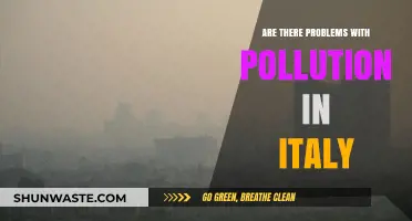 Italy's Pollution Problems: An Environmental Crisis