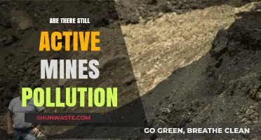 How Active Mines Continue to Pollute Our Planet