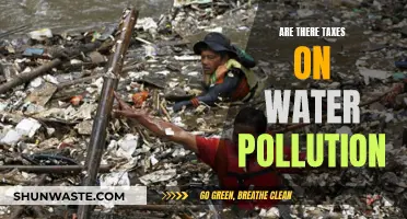 Water Pollution: Taxing the Hidden Costs of Environmental Damage