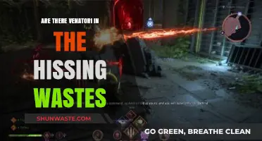 Exploring the Hissing Wastes: Are Venatori Lurking in the Shadows?