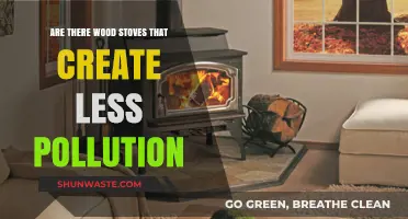 Wood Stoves: Less Smoke, More Warmth