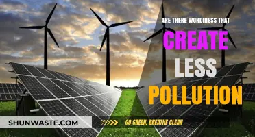 Green Words: Less Pollution, More Expression