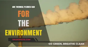 Thermal Plumes: Environmental Impact and Sustainability Concerns Explored