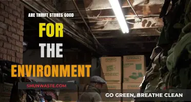 Thrift Stores: Eco-Friendly Shopping or Environmental Myth?