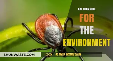 Ticks' Ecological Role: Beneficial or Detrimental to the Environment?
