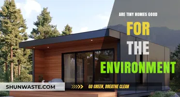 Tiny Homes: Eco-Friendly Living or Just a Trend?