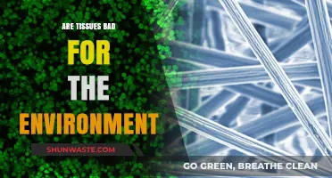 Tissue Trouble: Uncovering the Environmental Impact of Everyday Convenience