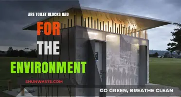 Toilet Blocks' Environmental Impact: Are They Harming Our Planet?