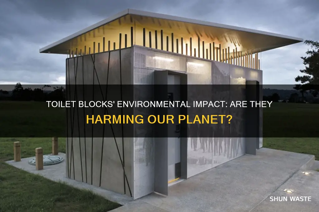 are toilet blocks bad for the environment
