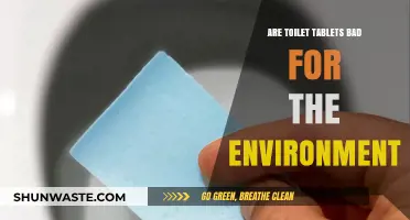 Eco-Friendly Flush? The Environmental Impact of Toilet Tablets Explained