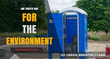 Flushing Away Sustainability: The Environmental Impact of Modern Toilets