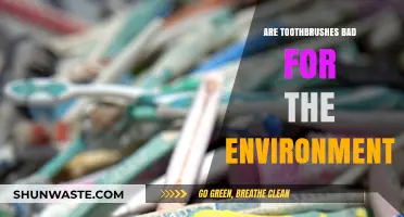 Eco-Friendly Smiles: Are Toothbrushes Harming Our Planet?