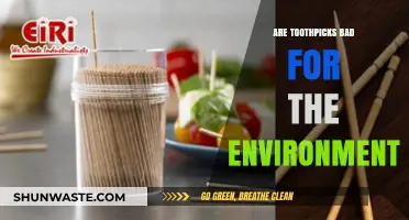 Toothpicks and the Environment: Uncovering Their Hidden Ecological Impact