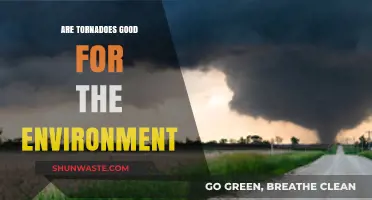 Tornadoes' Environmental Impact: Destructive Forces or Nature's Renewal Tool?