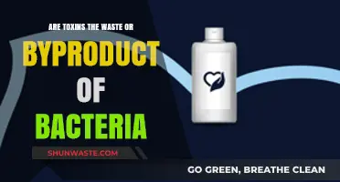 Are Toxins Bacterial Waste or Byproducts? Unraveling the Microbial Mystery
