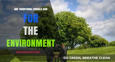 Eco-Friendly Afterlife: Are Traditional Burials Harming Our Planet?