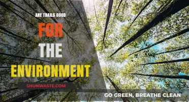 Eco-Friendly Trails: Balancing Nature, Recreation, and Environmental Impact