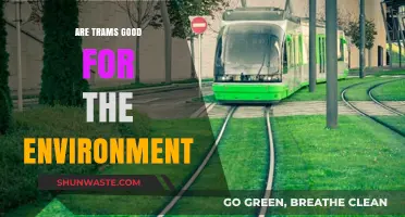 Trams and Sustainability: Eco-Friendly Urban Transport Solutions Explored