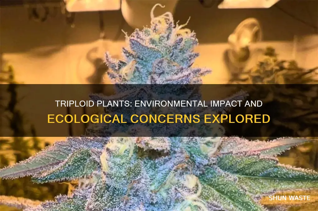 are triploid plants bad for the environment