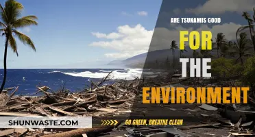 Tsunamis' Environmental Impact: Destructive Forces or Ecological Restorers?