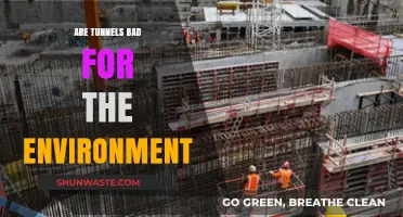 Environmental Impact of Tunnels: Assessing Their Ecological Footprint and Sustainability