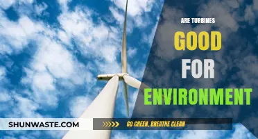 Turbines and the Environment: Sustainable Energy or Ecological Impact?