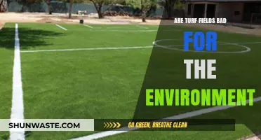 Turf Fields vs. Nature: Uncovering the Environmental Impact and Concerns