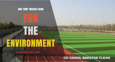 Turf Tracks: Eco-Friendly Solution or Environmental Concern?