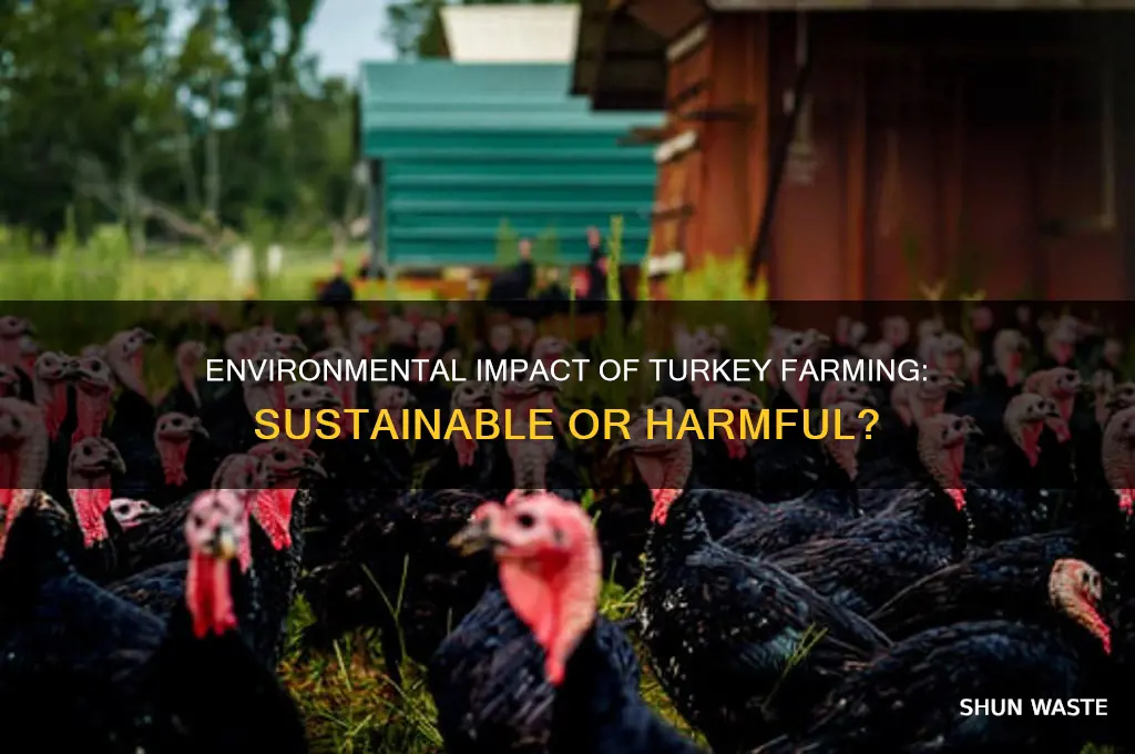 are turkeys bad for the environment