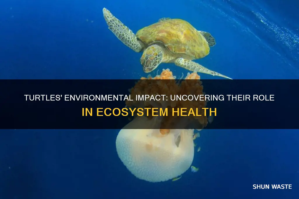 are turtles good for the environment