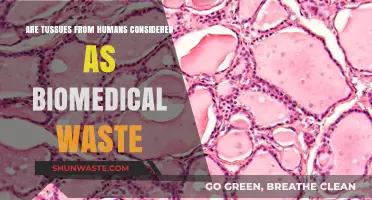 Are Human Tissues Biomedical Waste? Understanding Proper Disposal Methods