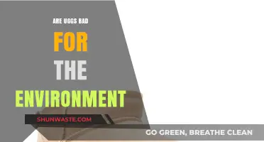 Are Uggs Eco-Friendly? Uncovering Their Environmental Impact and Sustainability