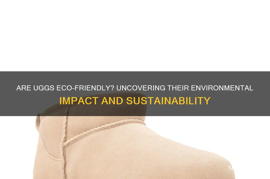 are uggs bad for the environment