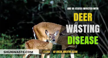 Deer Wasting Disease: Which U.S. States Are Currently Affected?
